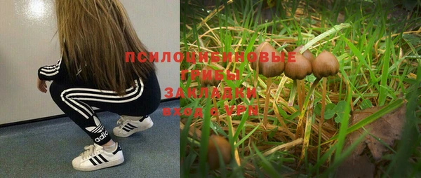 мескалин Баксан